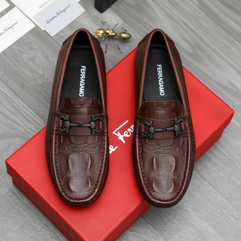 Ferragamo sz38-44 hnx0504